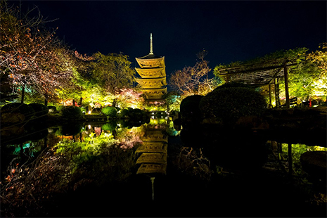 東寺のライトアップ